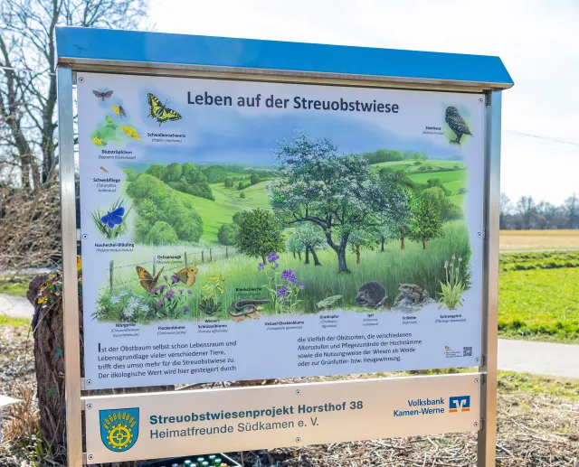 Baumpflanzaktion Streuobstwiese Kamen (2)